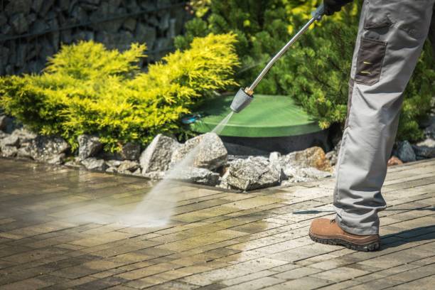 Best Warehouse Cleaning  in Trion, GA
