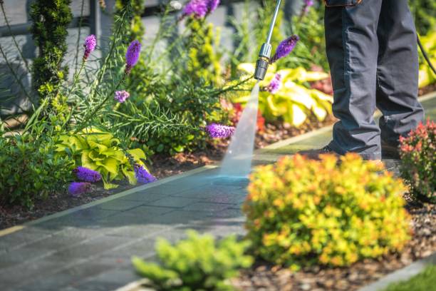 Best Fence Cleaning  in Trion, GA