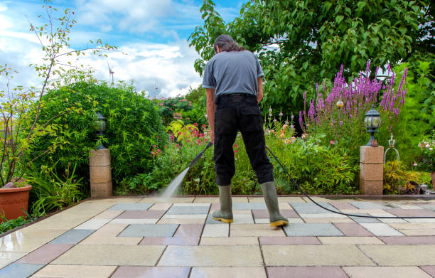 Best Driveway Pressure Washing  in Trion, GA